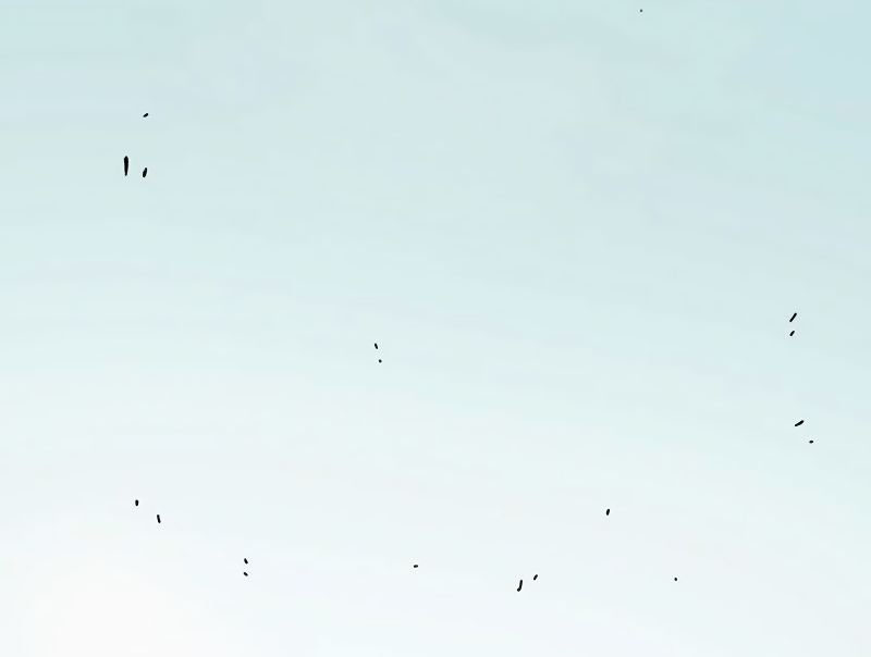 Last Word of the World chapter 23
